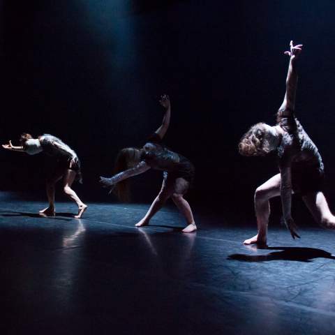 Friction Dance Theatre